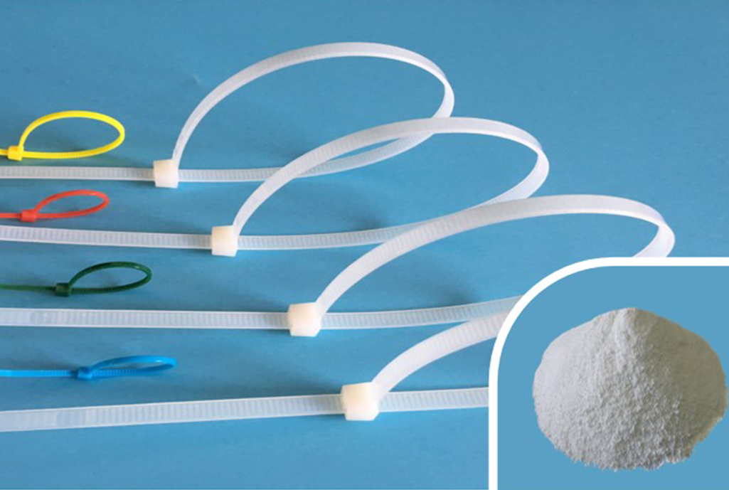 XS-CH-101 Nucleating Agent for PA